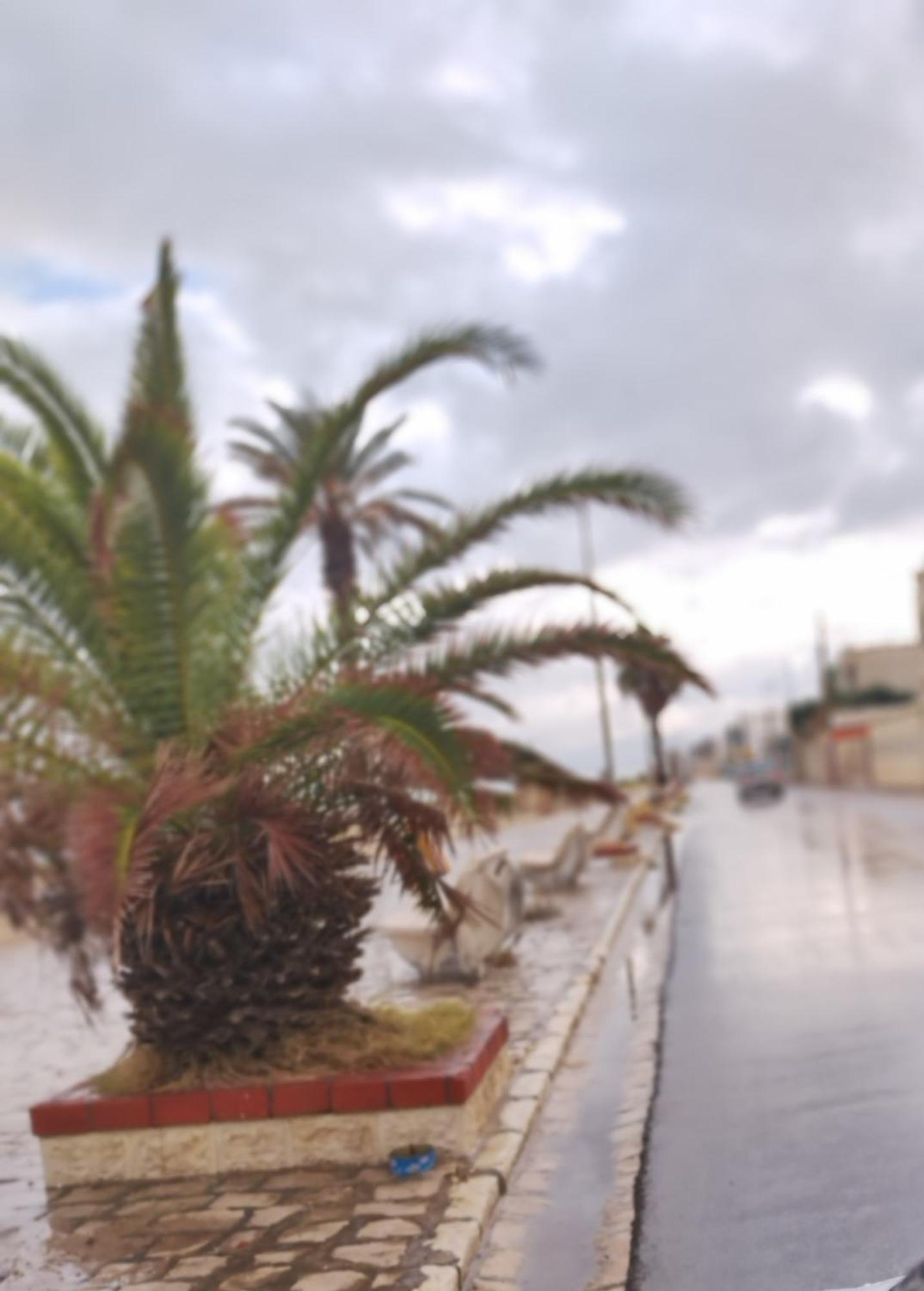 Appartement Hammam-Lif Les Cyclamens Tunisie Afrique Esterno foto